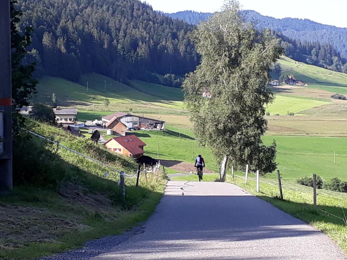 Gaestezimmer Im Dorfzentrum Rothenthurm Εξωτερικό φωτογραφία